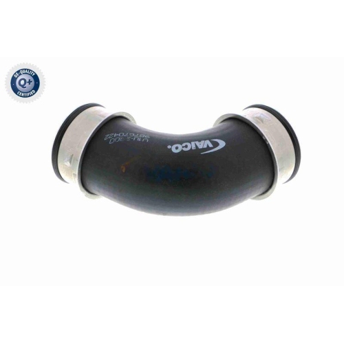 VAICO Ladeluftschlauch Q+, Erstausrüsterqualität V10-3800