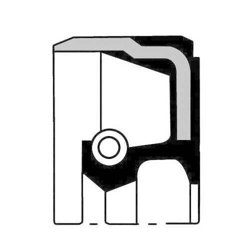 PAYEN Wellendichtring, Differential NA5494