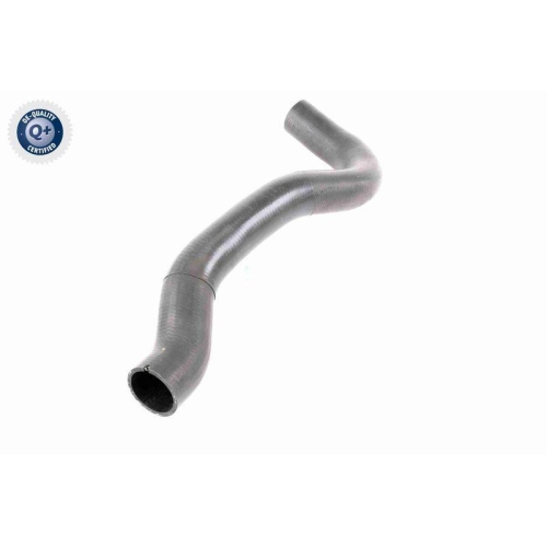 VAICO Ladeluftschlauch Q+, Erstausr&uuml;sterqualit&auml;t V42-0610