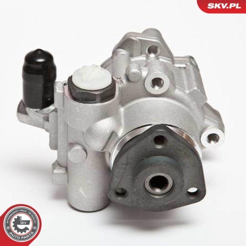 ESEN SKV Hydraulikpumpe, Lenkung 10SKV043