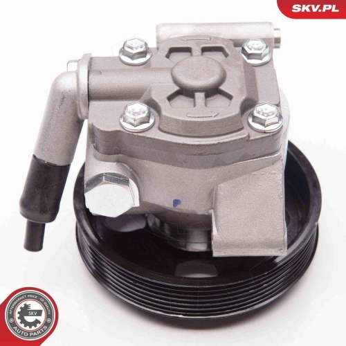 ESEN SKV Hydraulikpumpe, Lenkung 10SKV238