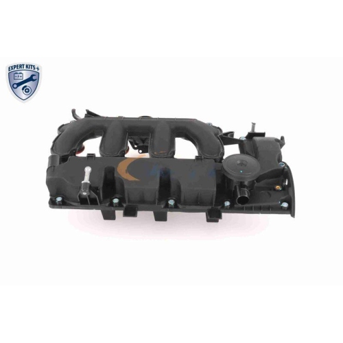 VAICO Zylinderkopfhaube EXPERT KITS + V42-1046