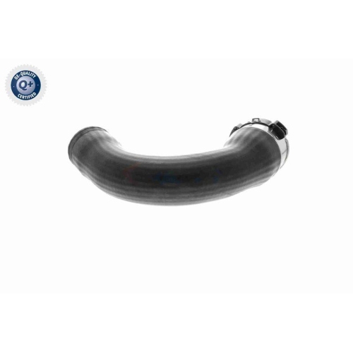 VAICO Ladeluftschlauch Q+, Erstausrüsterqualität V10-4378