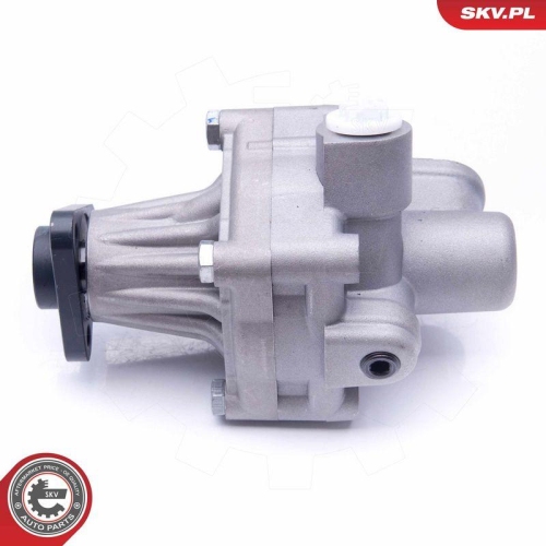 ESEN SKV Hydraulikpumpe, Lenkung 10SKV245
