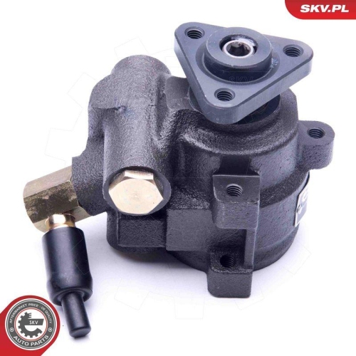 ESEN SKV Hydraulikpumpe, Lenkung 10SKV259