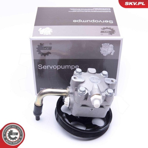 ESEN SKV Hydraulikpumpe, Lenkung 10SKV268