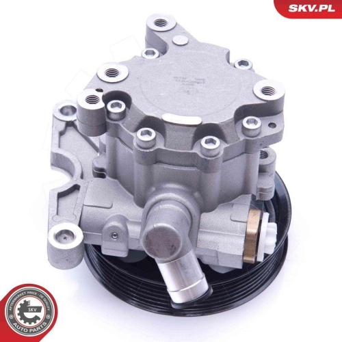 ESEN SKV Hydraulikpumpe, Lenkung 10SKV271