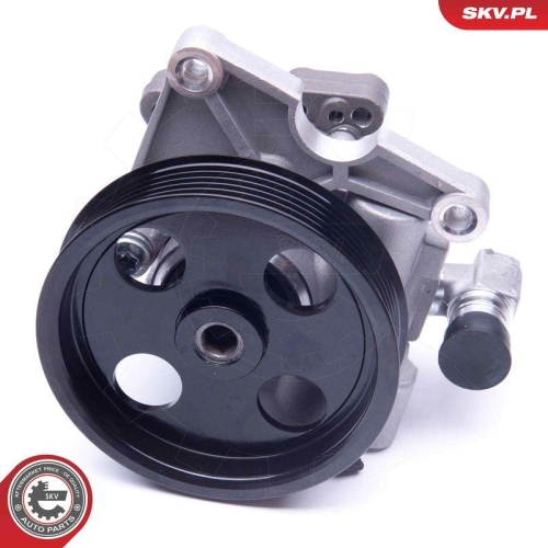 ESEN SKV Hydraulikpumpe, Lenkung 10SKV273