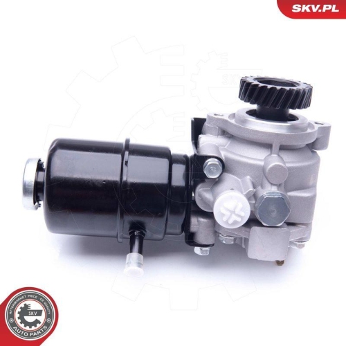 ESEN SKV Hydraulikpumpe, Lenkung 10SKV274