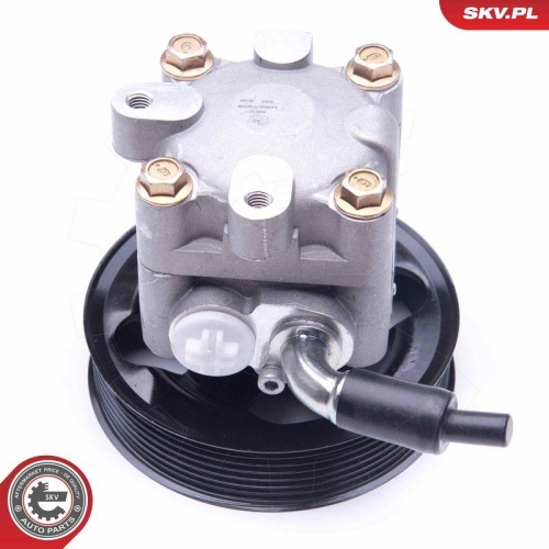 ESEN SKV Hydraulikpumpe, Lenkung 10SKV275