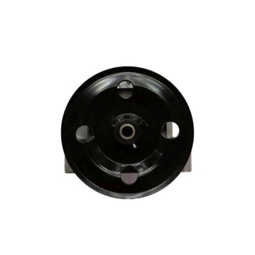 LAUBER Hydraulikpumpe, Lenkung 55.3501