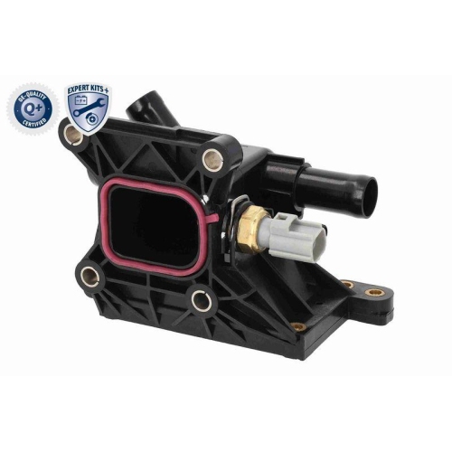 ACKOJA Thermostat, K&uuml;hlmittel EXPERT KITS +