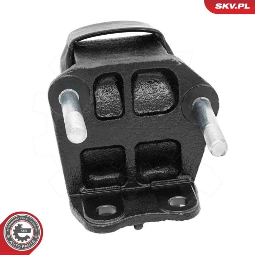 ESEN SKV Lagerung, Motor 75SKV336