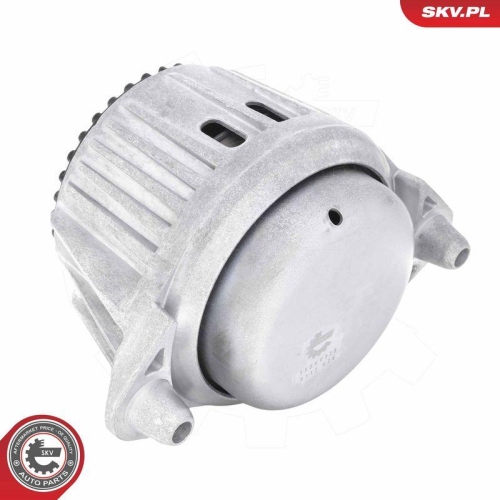 ESEN SKV Lagerung, Motor 75SKV328