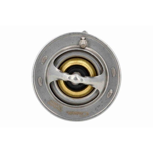 ACKOJA Thermostat, K&uuml;hlmittel Original ACKOJA Qualit&auml;t A52-99-0016