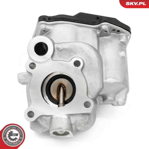 ESEN SKV AGR-Ventil 14SKV259