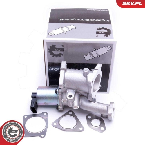 ESEN SKV AGR-Ventil 14SKV166