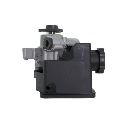 LAUBER Hydraulikpumpe, Lenkung 55.1030