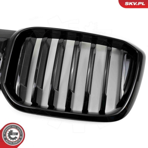 ESEN SKV Kühlergitter