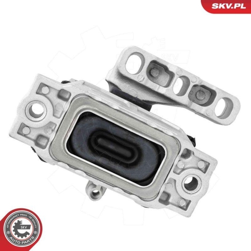 ESEN SKV Lagerung, Motor 75SKV324