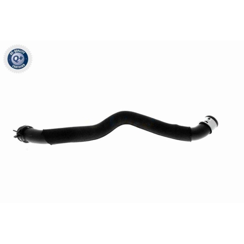 VAICO Kühlerschlauch Q+, Erstausrüsterqualität V30-2972