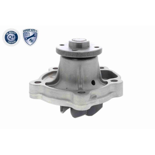 ACKOJA Wasserpumpe, Motork&uuml;hlung EXPERT KITS +