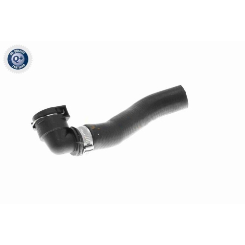 VAICO K&uuml;hlerschlauch Q+, Erstausr&uuml;sterqualit&auml;t V20-3682