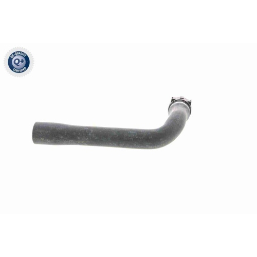 VAICO Kühlerschlauch Q+, Erstausrüsterqualität V10-0895