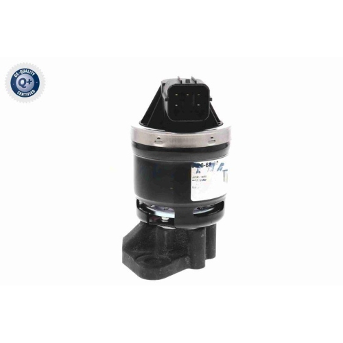 ACKOJA AGR-Ventil Green Mobility Parts A26-63-0002