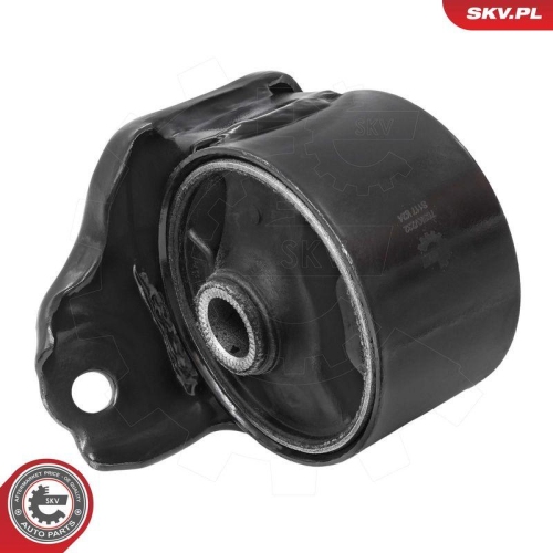 ESEN SKV Lagerung, Motor 75SKV232