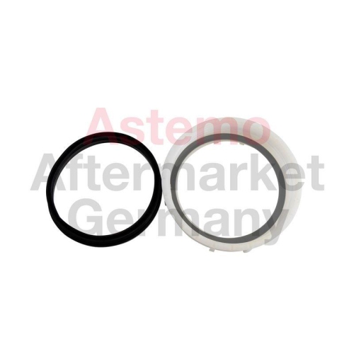 ASTEMO-HITACHI Kraftstoff-F&ouml;rdereinheit 2502731