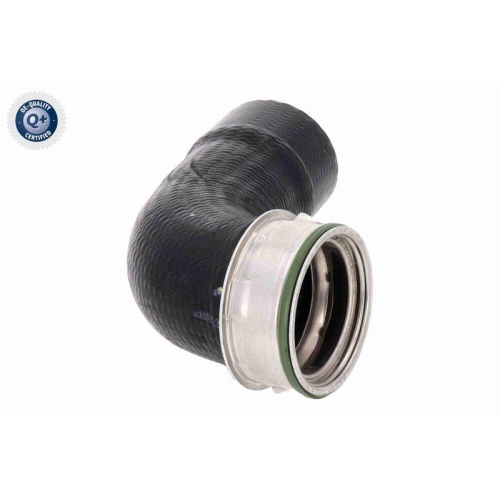 VAICO Ladeluftschlauch Q+, Erstausrüsterqualität V20-2806