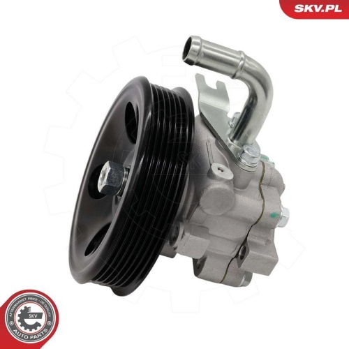 ESEN SKV Hydraulikpumpe, Lenkung 10SKV340