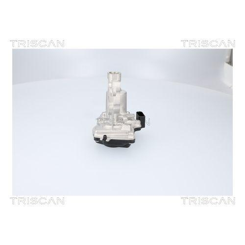 TRISCAN AGR-Ventil 8813 29116