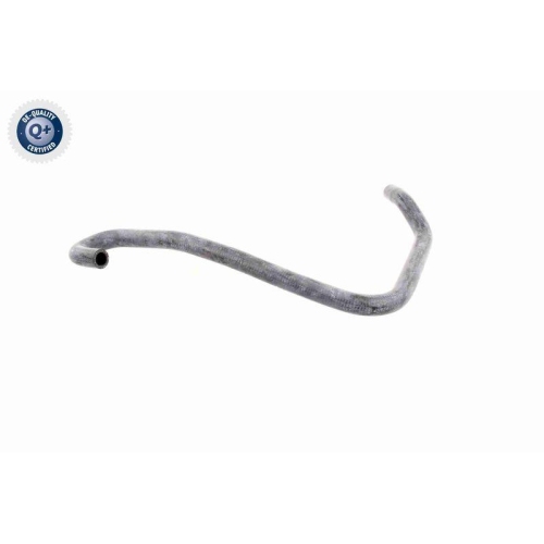 VAICO K&uuml;hlerschlauch Q+, Erstausr&uuml;sterqualit&auml;t V40-1157