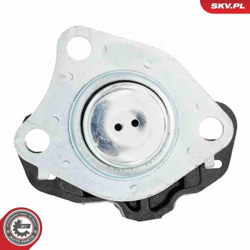 ESEN SKV Lagerung, Motor 75SKV019