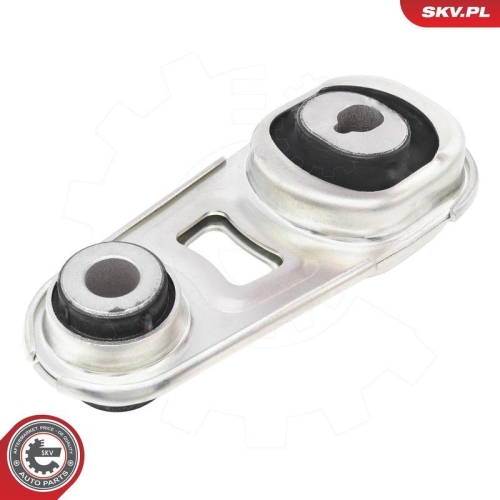 ESEN SKV Lagerung, Motor 75SKV030
