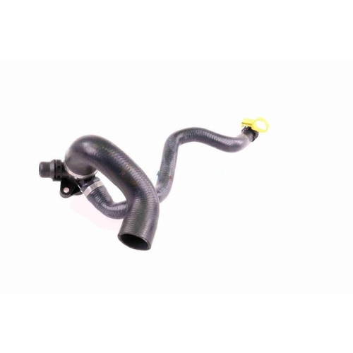 VAICO K&uuml;hlerschlauch Green Mobility Parts V20-3618