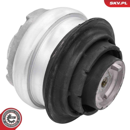 ESEN SKV Lagerung, Motor