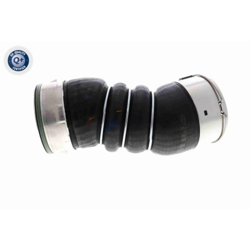 VAICO Ladeluftschlauch Q+, Erstausrüsterqualität V20-3656