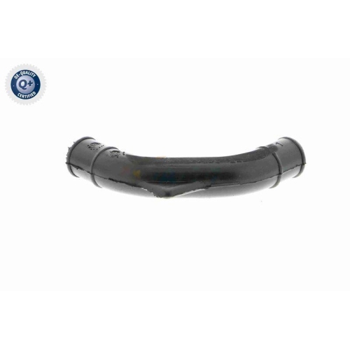 VAICO Schlauch, Kurbelgehäuseentlüftung Q+, Erstausrüsterqualität V30-0794