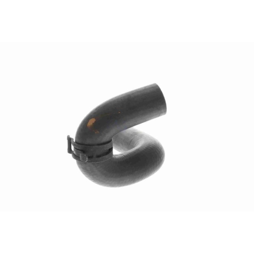 VAICO K&uuml;hlerschlauch Original VAICO Qualit&auml;t V30-4222