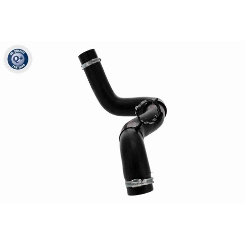 VAICO K&uuml;hlerschlauch Q+, Erstausr&uuml;sterqualit&auml;t V21-0044