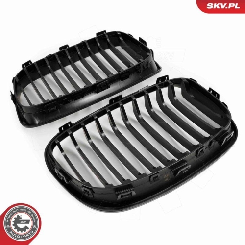 ESEN SKV Kühlergitter