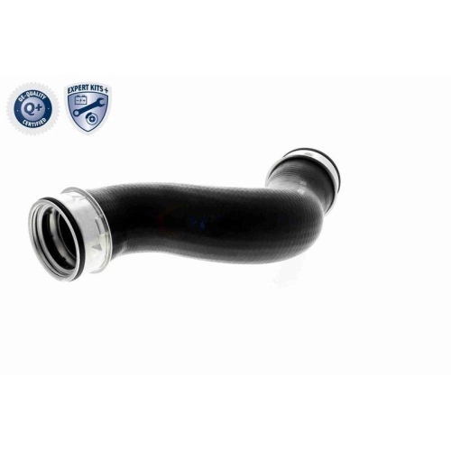 VAICO Ladeluftschlauch EXPERT KITS +