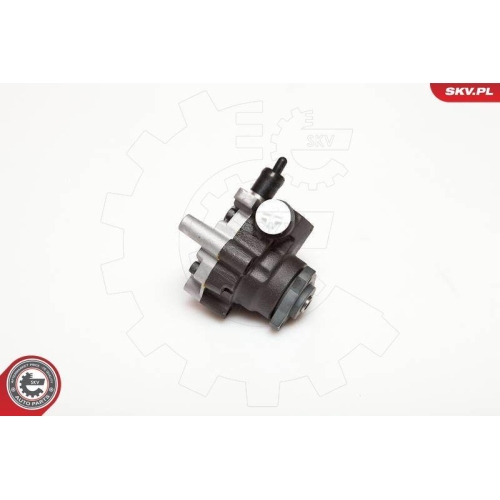 ESEN SKV Hydraulikpumpe, Lenkung