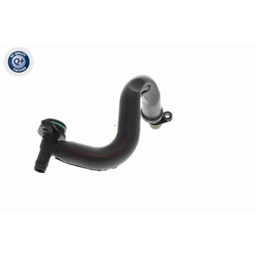 VAICO Ventil, Kurbelgehäuseentlüftung Green Mobility Parts V10-8677