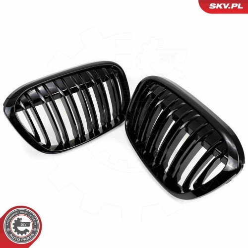 ESEN SKV Kühlergitter