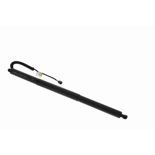 ACKOJA Elektromotor, Heckklappe Green Mobility Parts