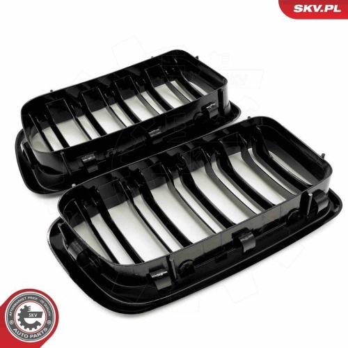 ESEN SKV Kühlergitter